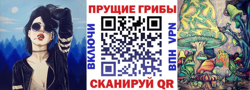 Купить где  Обоянь  Галлюциногенные грибы Psilocybine cubensis 